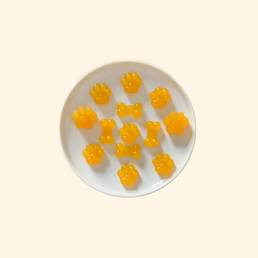Pumpkin Bone Broth Gummies
